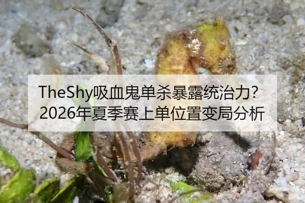 TheShy吸血鬼单杀暴露统治力？2026年夏季赛上单位置变局分析